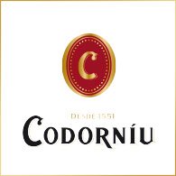 Wine Champagne Codorniu