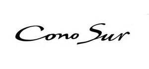 Wine Cono Sur