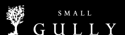 Wine Small Gully