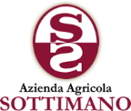 Wine Sottimano